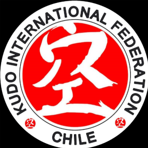 LogoKudoChile